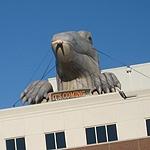 Inflatable Komodo Dragon