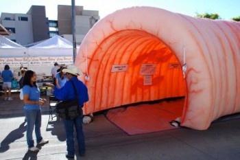 Inflatable Colon at Healthfair