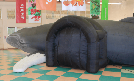 Giant inflatable whale exhibit in exhibit of school